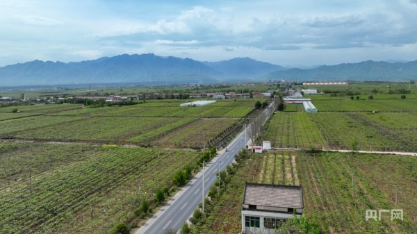 嘉创配资 乡路上，感受脉动中国｜“美丽乡路”服务提质&#32;“地标鲜果”助力振兴