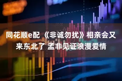 同花顺e配 《非诚勿扰》相亲会又来东北了 孟非见证浪漫爱情