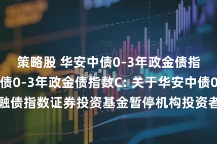 策略股 华安中债0-3年政金债指数A,华安中债0-3年政金债指数C: 关于华安中债0-3年政策性金融债指数证券投资基金暂停机构投资者大额申购及大额转换转入的公告