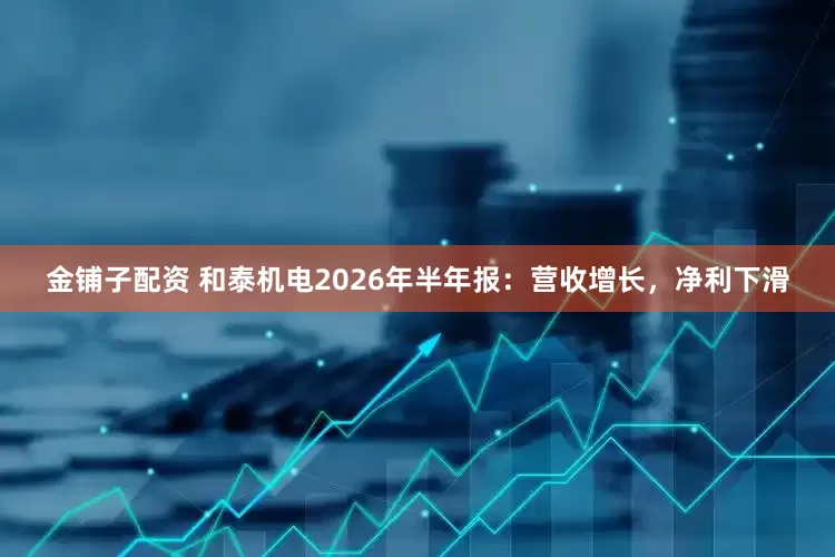 金铺子配资 和泰机电2026年半年报：营收增长，净利下滑
