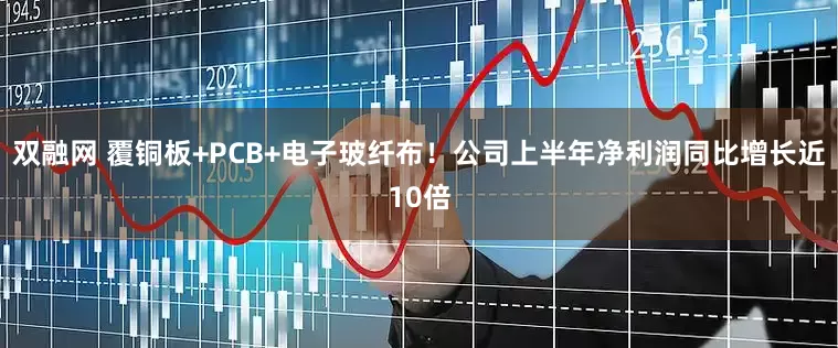 双融网 覆铜板+PCB+电子玻纤布！公司上半年净利润同比增长近10倍